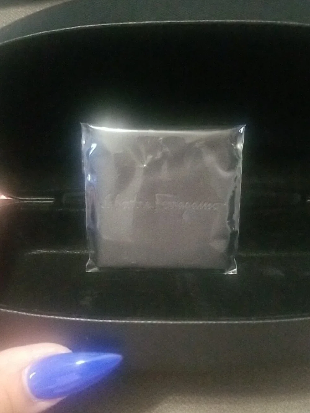 Salvatore Ferragamo Black Hard Eyewear Case